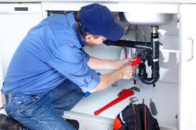 Best Re-piping Services  in Brownlee Park, MI